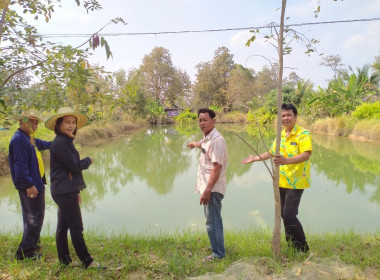 วันที่ 5 กุมภาพันธ์ 2567 ... พารามิเตอร์รูปภาพ 6